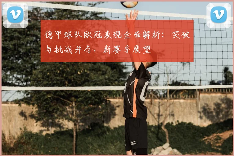 德甲球队欧冠表现全面解析：突破与挑战并存，新赛季展望