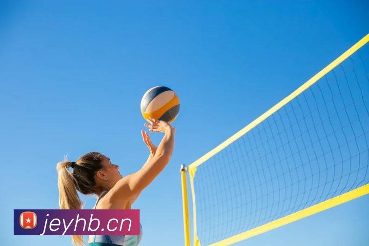 半岛在线登录入口品牌故事